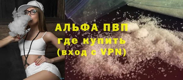 твердый Надым