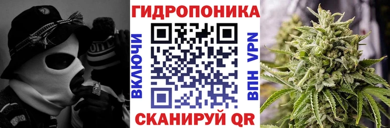 наркота  Мамоново  Канабис гибрид 